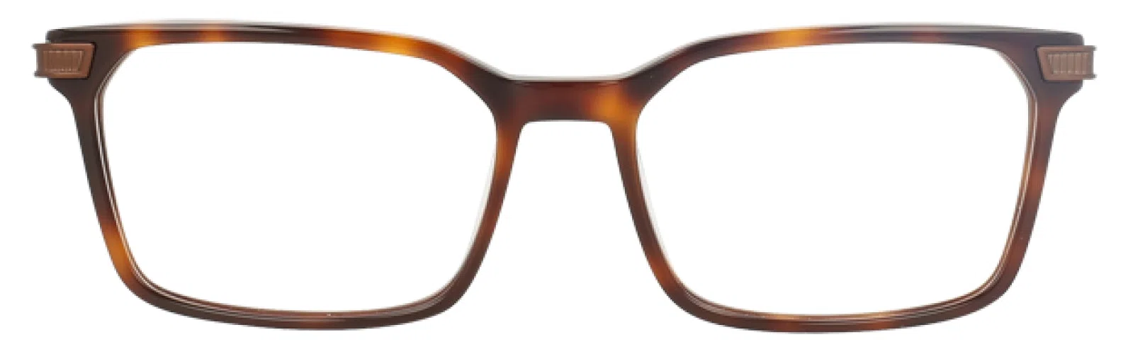 Argyleculture ARHOPKINS Eyeglasses - view 8
